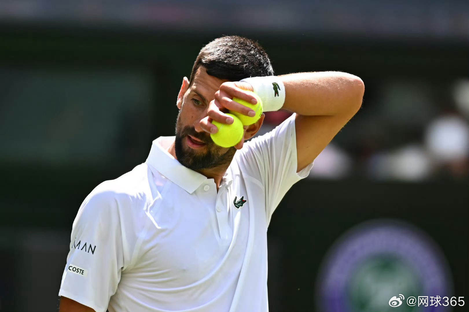 戴维斯杯翻盘温网,辛纳扛起全队 戴维斯杯翻盘温网,辛纳扛起全队