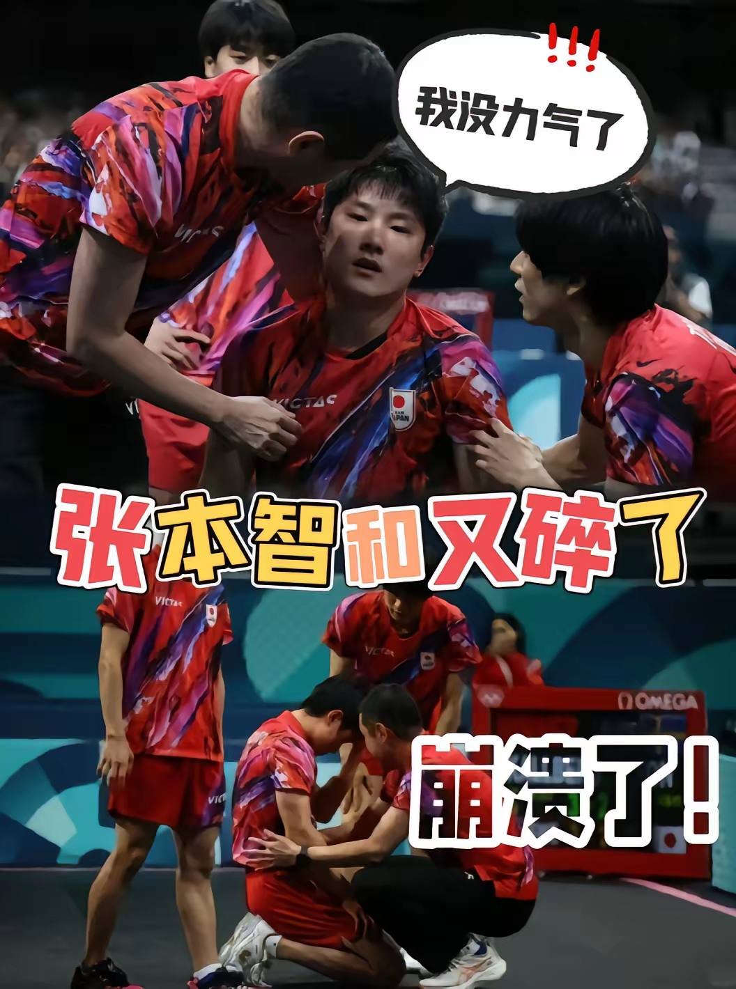 波兰队横扫葡萄牙队，张本智和统治全场